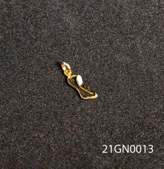 21GN0013_2